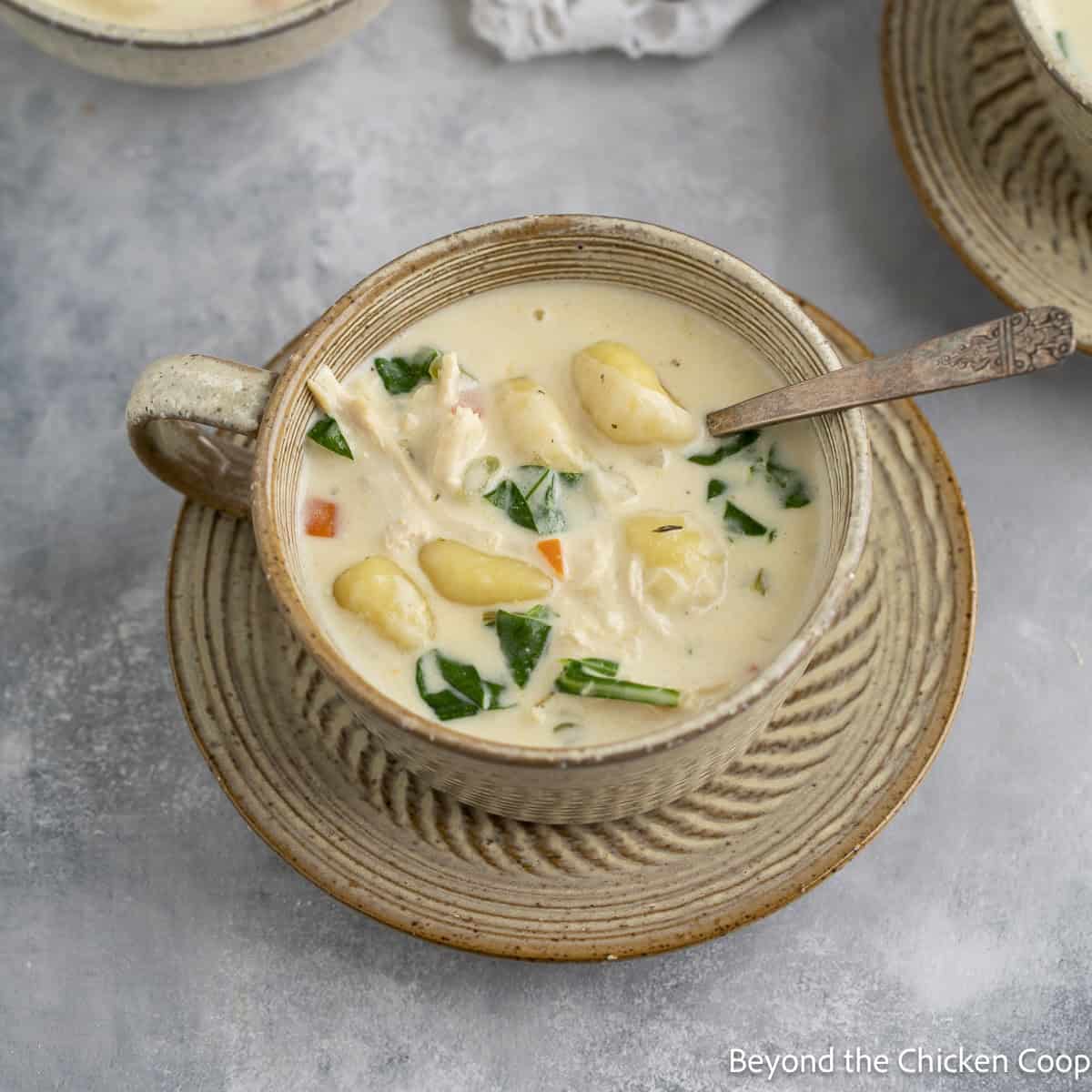 Fast Chicken Gnocchi Soup: Rotisserie Chicken & 5-Minute Gnocchi